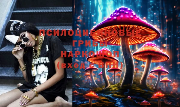 ешки Алексин